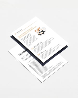 A4_NIS-Flyer_Mockup_2