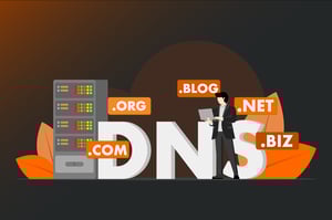 dns-filter 